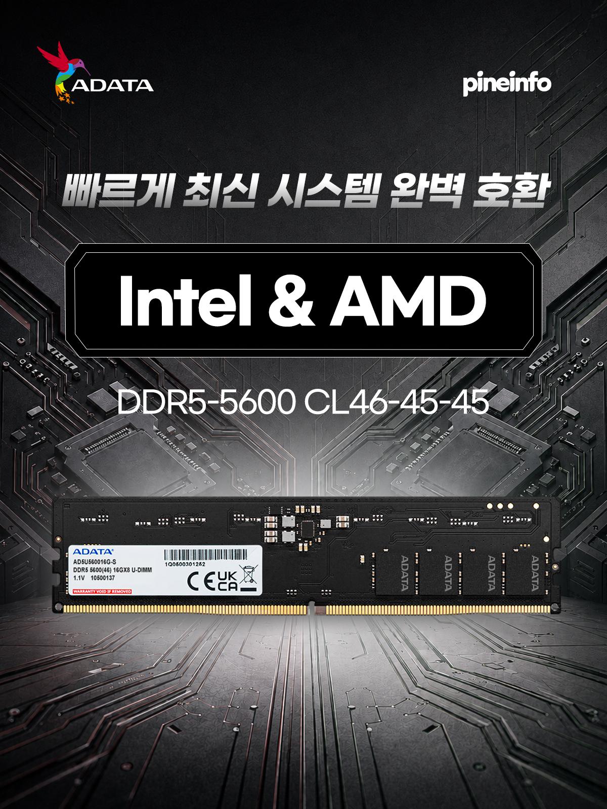 파인인포