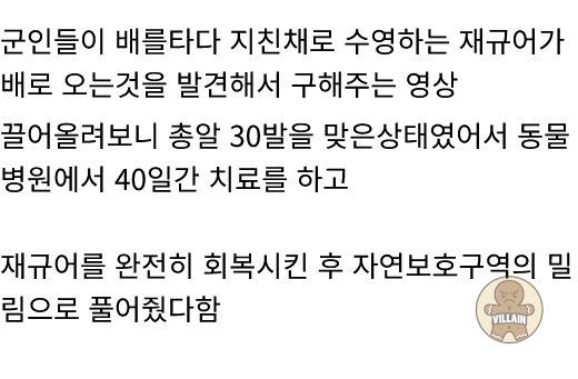 AI 같지만 진짜인 영상 관련 이미지 1